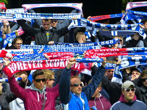 开云体育在线-球迷文化盛宴：从欧洲到亚洲的足球狂欢，中国足球球迷文化