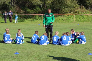 开云体育网站-瑞典团队战术：从快攻到慢球的多变打法，瑞典几分钟进球